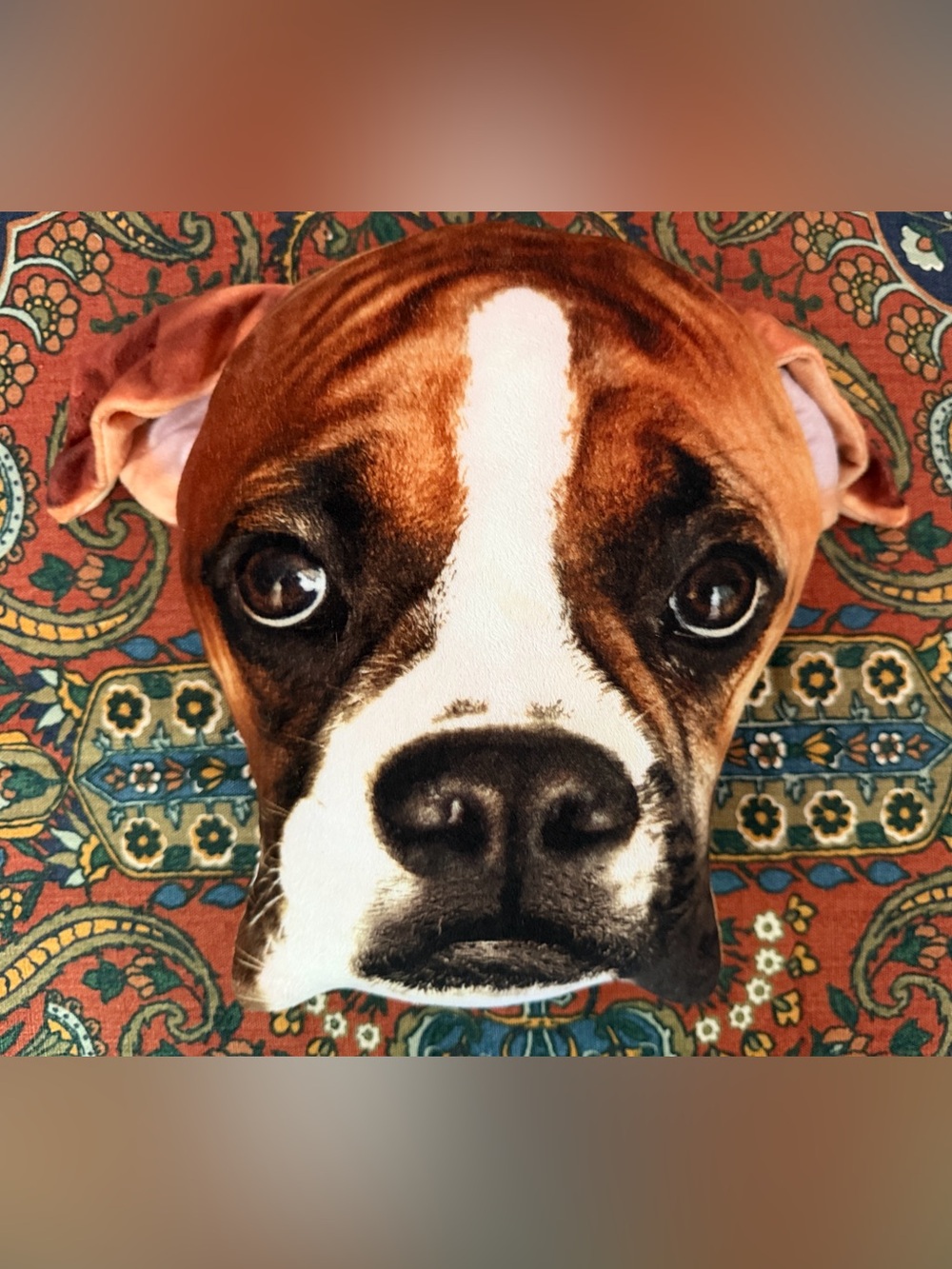 Boxer Dog face Plush Pillow in Brown and White - Brand Unknown